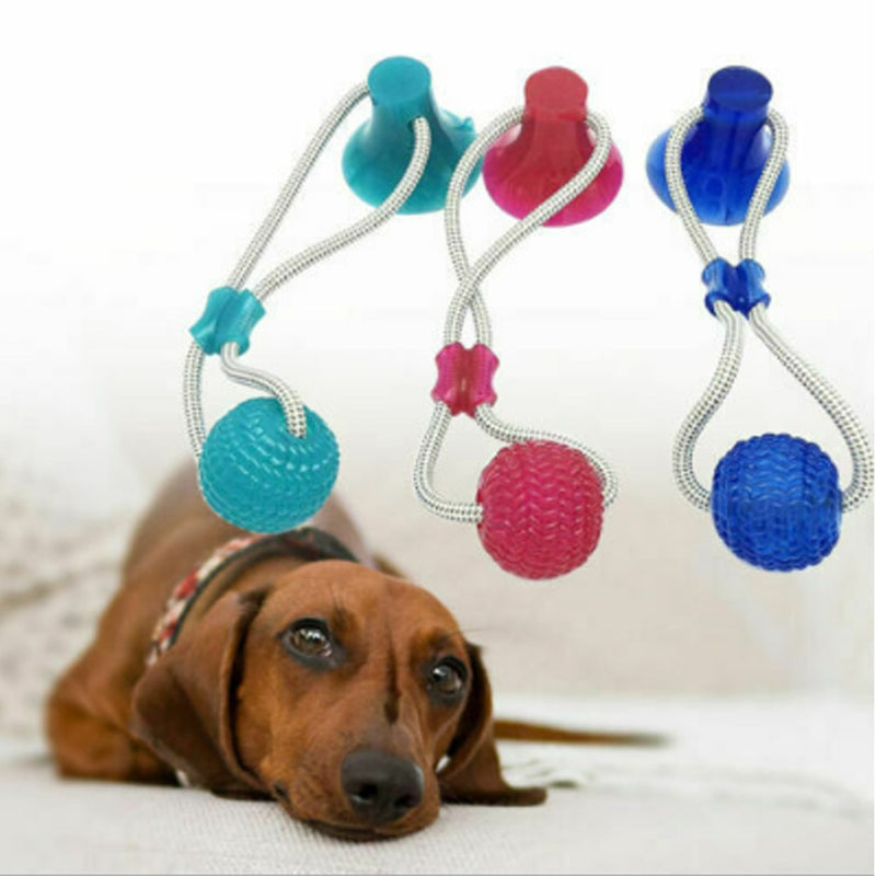 Dog Suction Ball Toy