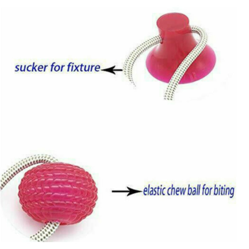 Dog Suction Ball Toy